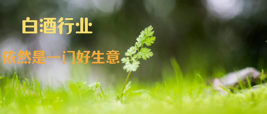 白酒依然是一门好生意